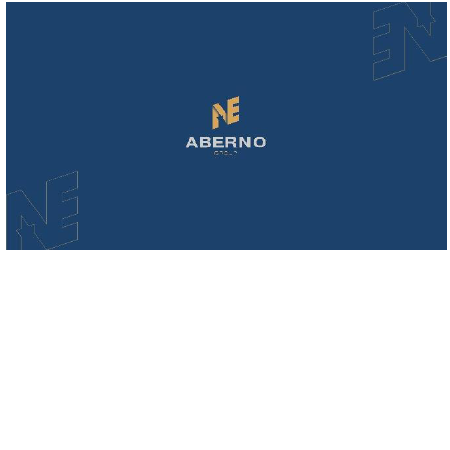 Https orginfo uz. Aberno Group logo. Aberno Butters Group.